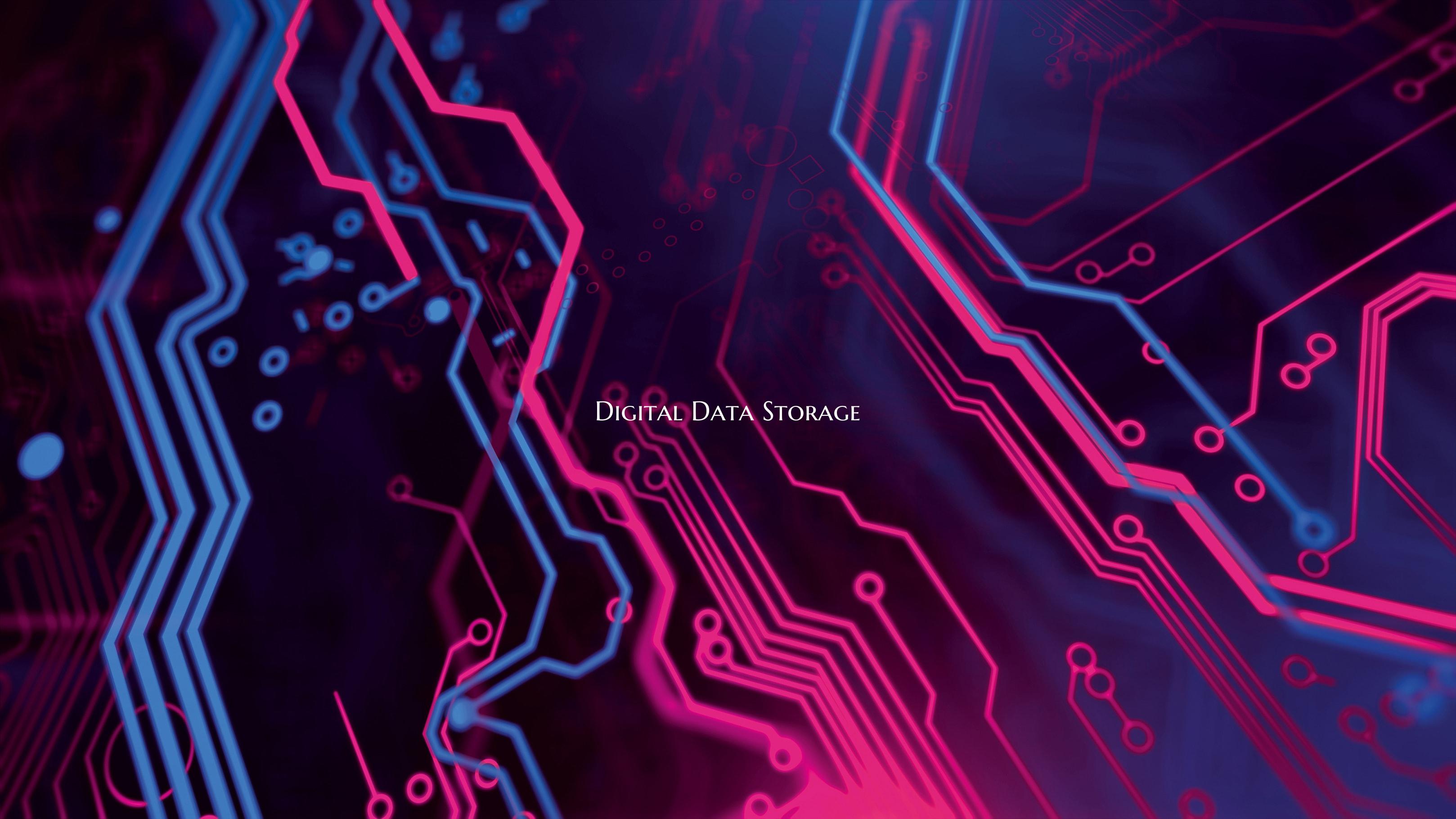 Digital Data Storage